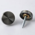 Alise 20 Pcs 4 5 Dia Sus 304 Stainless Steel Decorative Mirror Screws Cap Cover Nailsbrushed Finish