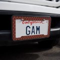 Dragon Scales Pattern License Plate Tag Frame