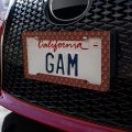 Dragon Scales Pattern License Plate Tag Frame