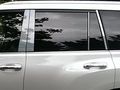 Qaa Is For 2010-2020 Lexus Gx460 8 Piece Stainless Pillar Post Trim Pp10124 