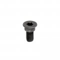 M4x10-0 7 Carbon Steel Torx Set Screws For Carbide Insert Lathe Turning Tool Holder 