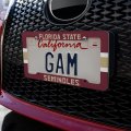 Florida State University Stripes License Plate Tag Frame