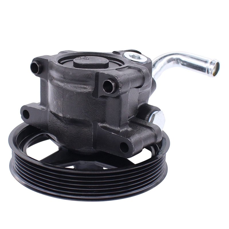 Power Steering Pump With Pulley