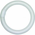 Lights Of America 2630b Circline Compact Fluorescent Replacement Tri Phosphor Light Bulb 30w 