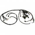Caltric Wire Harness Compatible With Yamaha Yfz450v Bill Balance Edition 2006 Wiring