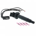 Ignition Coil Kit 