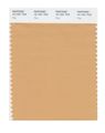 Pantone Smart 15-1231x Color Swatch Card Clay 