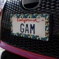 Butterflies Blue Exotic Pattern License Plate Tag Frame