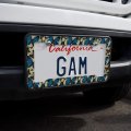 Butterflies Blue Exotic Pattern License Plate Tag Frame
