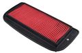 Hiflofiltro Hfa4916 Premium Oe Replacement Air Filter 