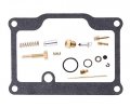 Hifrom New Carburetor Carb Repair Rebulid Kit Replacement For Polaris 1990-1995 Trail Blazer 250 1988-1999 Boss