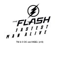 Graphics More The Flash Tv Series Zoom Logo Novelty Metal Vanity Tag License Plate