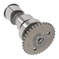 Camshaft Replacement For Honda Trx250x Trx250ex 14100-hn6-000 2001-2024 