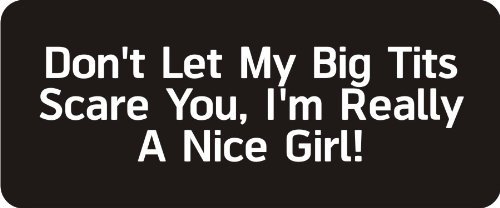 3 Dont Let My Big Tits Scare You Im Really A Nice Girl 1 4 X Hard Hat Biker Helmet Stickers Bs126
