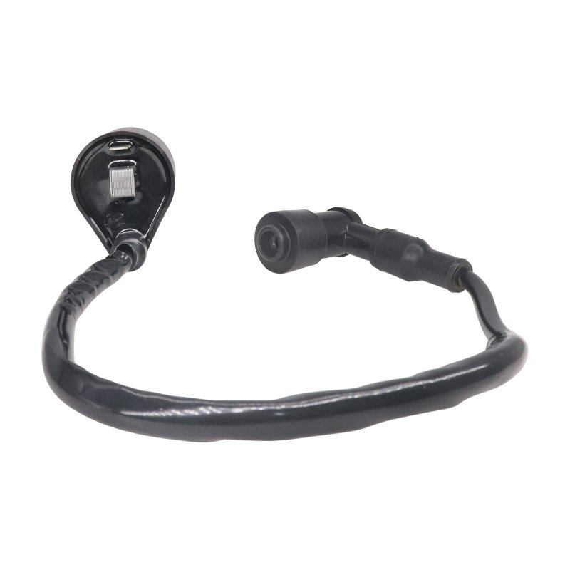 Ignition Coil For Polaris Xplorer 300 400 4x4 1996 1997 1998 1999 Part Number Includes Housing