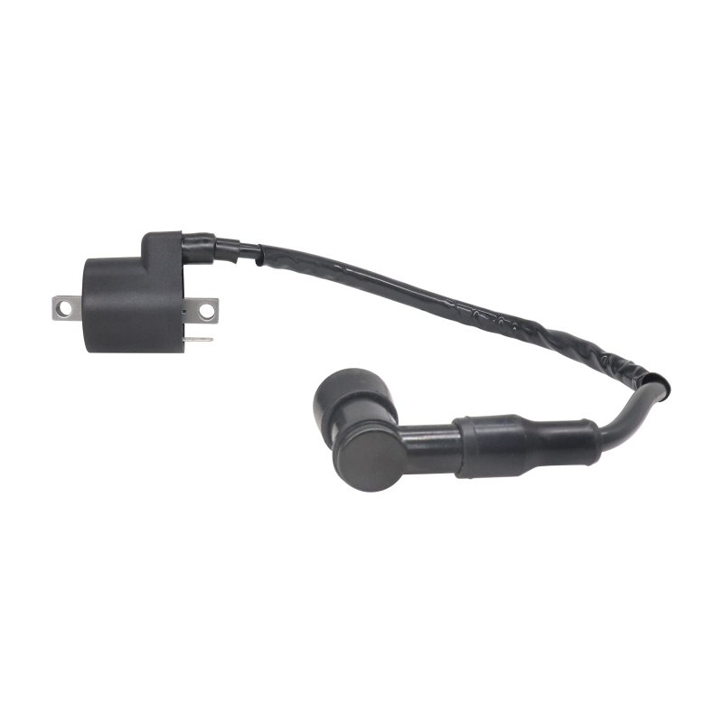 Ignition Coil For Polaris Xplorer 300 400 4x4 1996 1997 1998 1999 Part Number Includes Housing