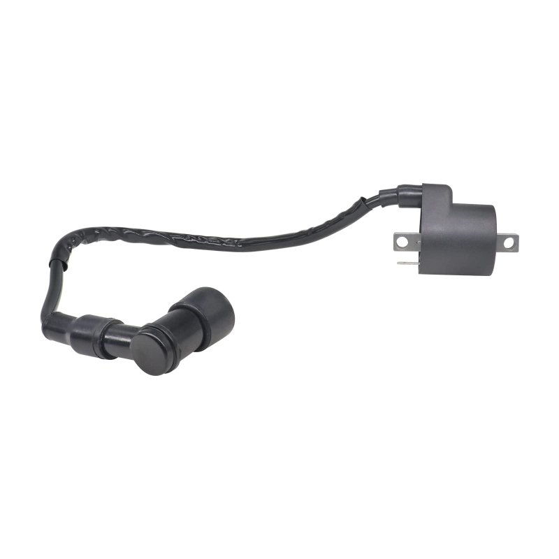 Ignition Coil For Polaris Xplorer 300 400 4x4 1996 1997 1998 1999 Part Number Includes Housing