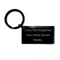 I Can T Fix Stupid But M A Fairly Decent Welder Keychain Present From Coworkers Fancy Black Keyring For Thank You Gifts Welders 