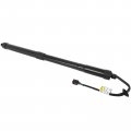 Aintier Automotive Replacement Shock Lift Supports Fit For Hyundai Santa Fe 2013-2016