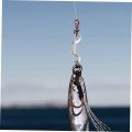 Heallily 6pcs Double Hook Backpack Bolts Dog Leash Connector Hooks Clips Buckle For Snap Lanyard Clasp Zinc Alloy Metal Pet