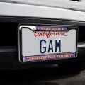 Tennessee Tech Golden Eagles Full Size Standard License Plate Metal Frame