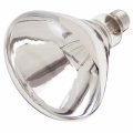 Satco 250r40 2f1 2ftf 2fshtrprf 2fclear 2f120v 5bs4885 5d 250w0v Dimmable Indoor 2foutdoor Shatter Proof Pack Of 12 12 