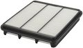 Fram Ca10255 Extra Guard Panel Air Filter 