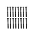 Beck Arnley 016-1012 Cylinder Head Bolt Set 