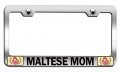 Maltese Mom Mothers Day Steel License Plate Frame Heavy Duty Powder Coated Metal Tag Holder For Cars Trucks And Suvs 12 5 X 6 