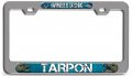Happiness Is Catching Tarpon Fishing Ch 3d Metal License Plate Frame Auto Suv Truck Tag Holder G4 