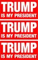 3 Trump Is My President Sticker Pro Donald Anti Hillary For Helmet Hard Hat Motorcycle 1x3 