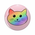 Veteran Pins A Pride Kitty Keychain Stainless Steel With Ring 