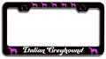 Italian Greyhound Dogs Pets Black Metal License Plate Frame Tag Holder S19 