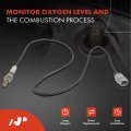 A-premium O2 Oxygen Sensor Compatible With Infiniti Qx4 2001 V6 3 5l V5de Nissan Pathfinder 2001 3 Vq35de Downstream Left