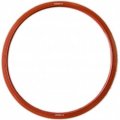Midmark M9 Ultraclave Door Gasket 
