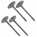 Caltric Intake Exhaust Valves Compatible With Suzuki King Quad 750 4x4 Atv Lta750x Axi 2008-2020