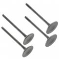 Caltric Intake Exhaust Valves Compatible With Suzuki King Quad 750 4x4 Atv Lta750x Axi 2008-2020