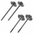 Caltric Intake Exhaust Valves Compatible With Suzuki King Quad 750 4x4 Atv Lta750x Axi 2008-2020