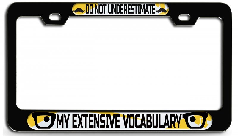 Do Not Underestimate My Extensive Vocabulary Geek Steel License Plate Frame Raised Epoxy Style Tag Holder Universal Fit For Usa