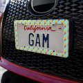 French Fries And Soda Pop Pattern License Plate Tag Frame