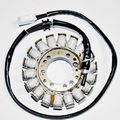 Ricks Motorsport Electric Stator 21-014 