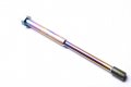 Special Clutch Screw 