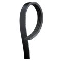 Stretch Serpentine Belt For Chevy Cheyenne Nueva 2022 33 78 In Effective Length 4 Rib Gold Classification Black Replacement 
