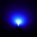 Ocpty T5 Blue-12v 24v-20ma-12lm T5-twist Lock 12v