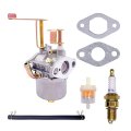 Aniro Moto Carburetor Compatible With Coleman Ck100-s Ct100u Cc100x Mini Bike Sk100 Go-kart Gaskets Fuel Line Filter Spark Plug 