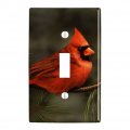 Northern Cardinal Red Pine Perch Plastic Wall Decor Toggle Light Switch Plate Cover 