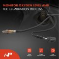 A-premium O2 Oxygen Sensor Compatible With Audi A4 2005 Allroad Quattro 2002-2005 Porsche Cayenne 2003-2006 Volkswagen Beetle