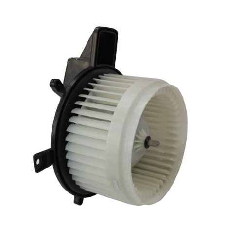 Tyc 700216 Replacement Blower Assembly