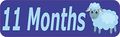 10in X 3in 11 Month Magnet Boy Door Magnetic Sign Magnets Signs By Stickertalk 