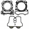 Caltric Cylinder With Head And Cover Gasket Compatible Yamaha Yz250f 2007 2008 2009 2010 2011 2012 2013
